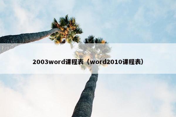 2003word课程表（word2010课程表）