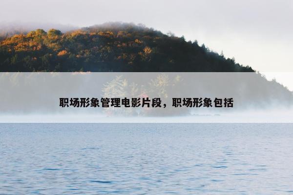 职场形象管理电影片段，职场形象包括