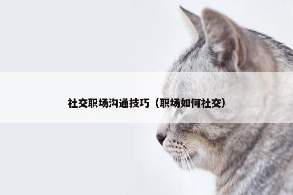 社交职场沟通技巧（职场如何社交）