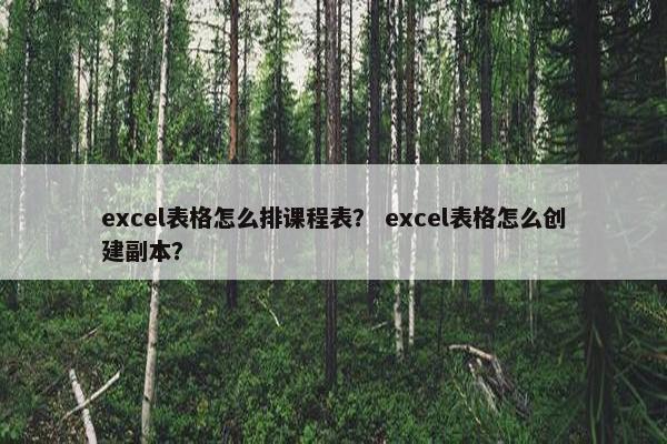 excel表格怎么排课程表？ excel表格怎么创建副本？