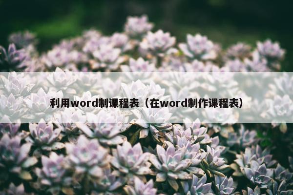 利用word制课程表（在word制作课程表）