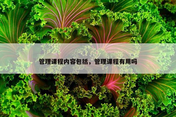 管理课程内容包括，管理课程有用吗
