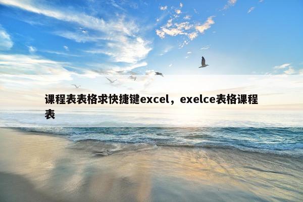 课程表表格求快捷键excel，exelce表格课程表