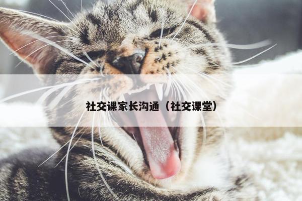 社交课家长沟通（社交课堂）