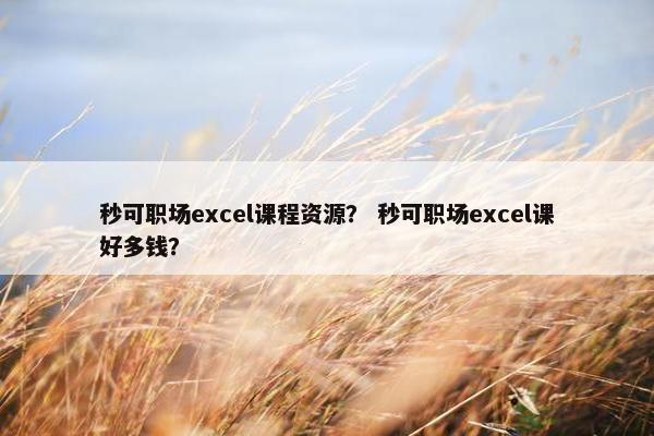 秒可职场excel课程资源？ 秒可职场excel课好多钱？