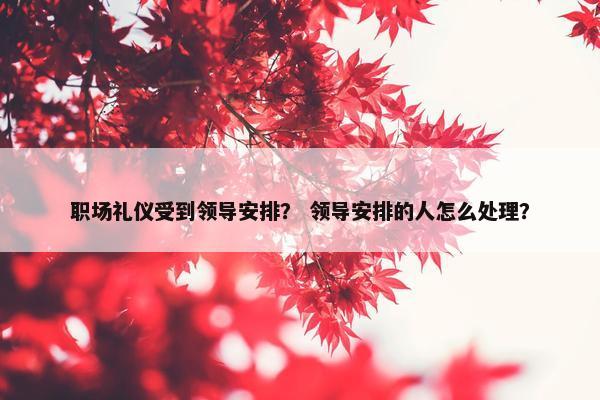 职场礼仪受到领导安排？ 领导安排的人怎么处理？