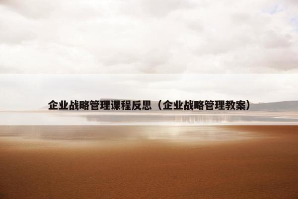 企业战略管理课程反思（企业战略管理教案）