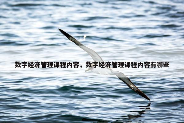 数字经济管理课程内容，数字经济管理课程内容有哪些