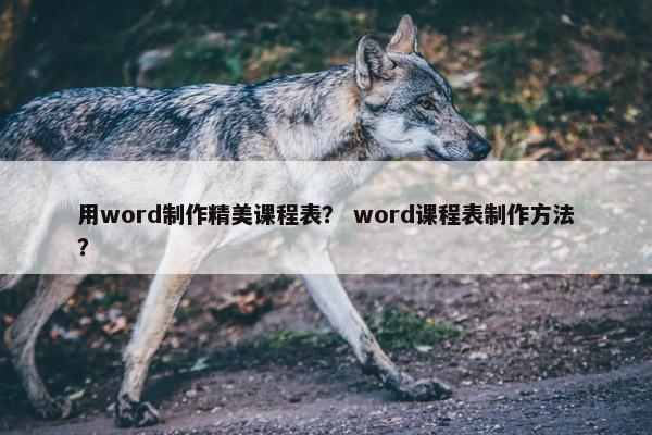 用word制作精美课程表？ word课程表制作方法？