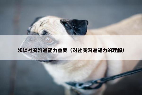 浅谈社交沟通能力重要（对社交沟通能力的理解）