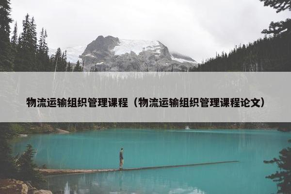 物流运输组织管理课程（物流运输组织管理课程论文）