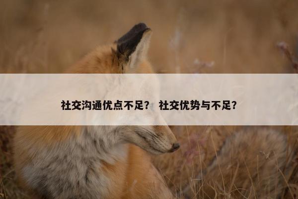 社交沟通优点不足？ 社交优势与不足？