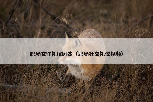 职场交往礼仪剧本（职场社交礼仪视频）