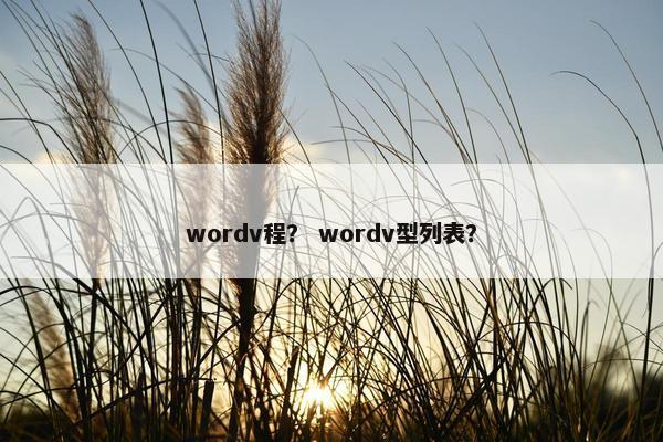 wordv程？ wordv型列表？