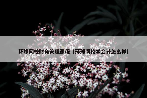 环球网校财务管理课程（环球网校学会计怎么样）
