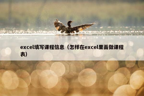 excel填写课程信息（怎样在excel里面做课程表）