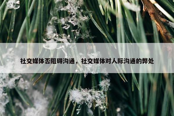 社交媒体否阻碍沟通，社交媒体对人际沟通的弊处
