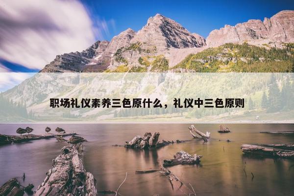 职场礼仪素养三色原什么，礼仪中三色原则