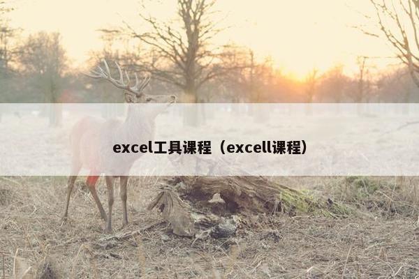 excel工具课程（excell课程）