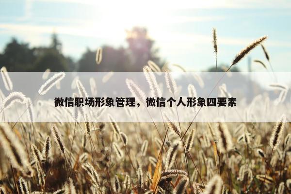 微信职场形象管理，微信个人形象四要素