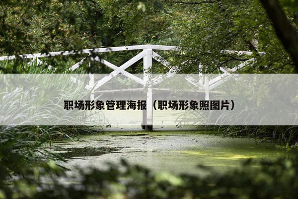 职场形象管理海报（职场形象照图片）