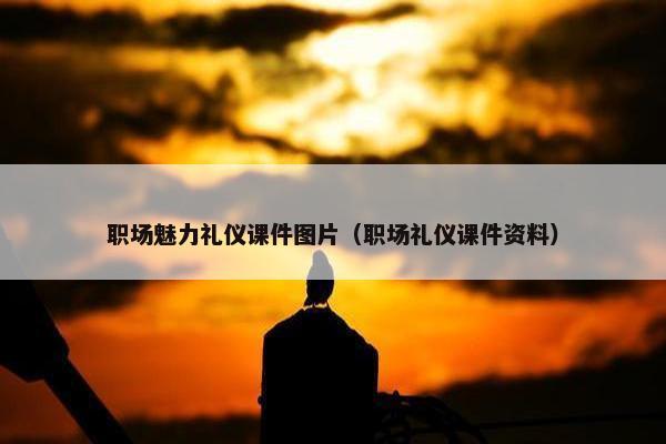 职场魅力礼仪课件图片（职场礼仪课件资料）