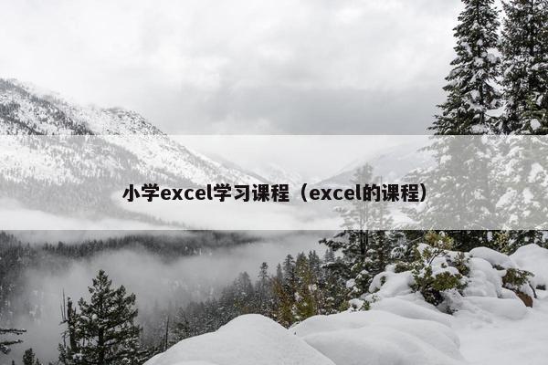 小学excel学习课程（excel的课程）