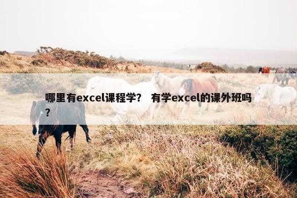 哪里有excel课程学？ 有学excel的课外班吗？