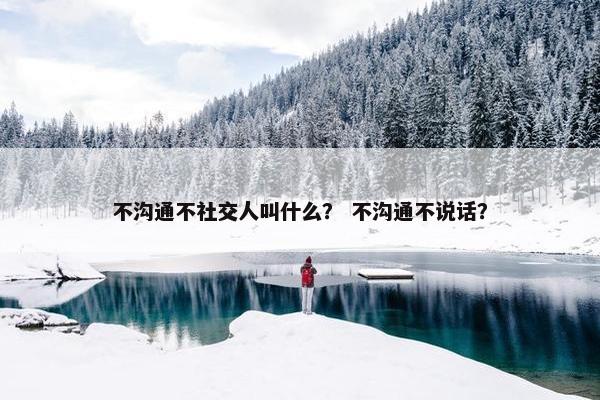 不沟通不社交人叫什么？ 不沟通不说话？