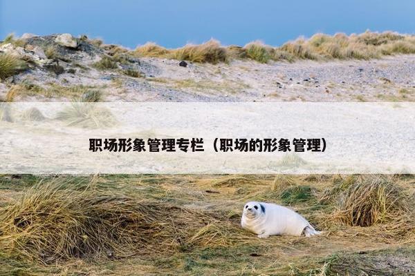 职场形象管理专栏（职场的形象管理）