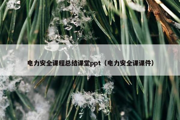 电力安全课程总结课堂ppt（电力安全课课件）