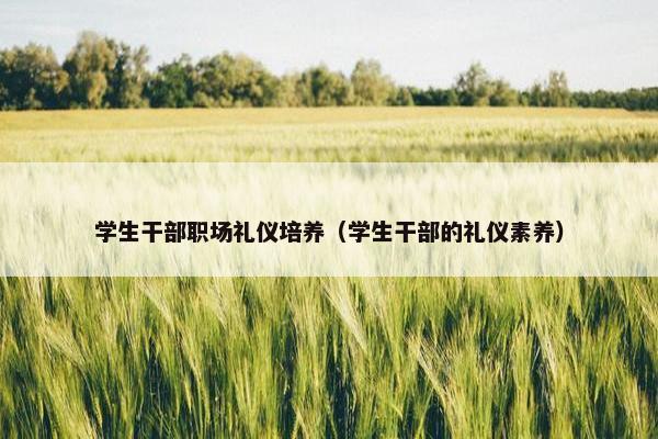 学生干部职场礼仪培养（学生干部的礼仪素养）
