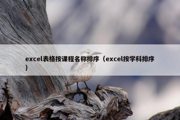 excel表格按课程名称排序（excel按学科排序）