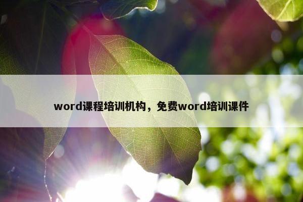 word课程培训机构，免费word培训课件