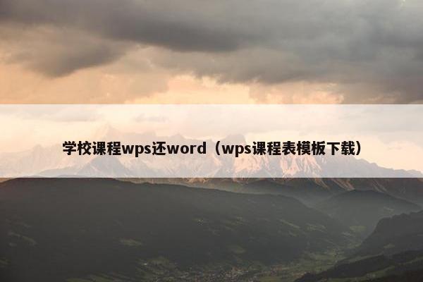 学校课程wps还word（wps课程表模板下载）