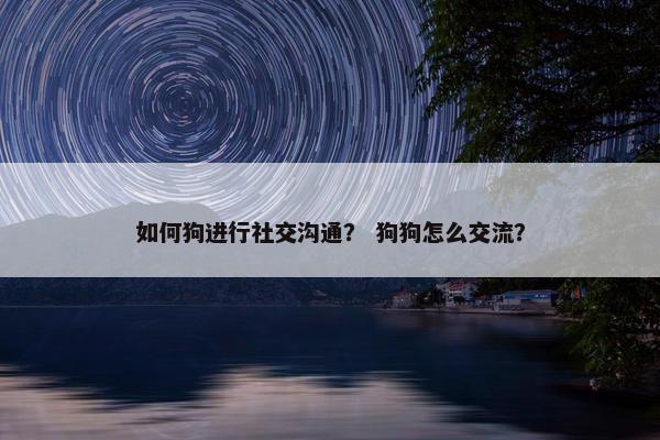 如何狗进行社交沟通？ 狗狗怎么交流？