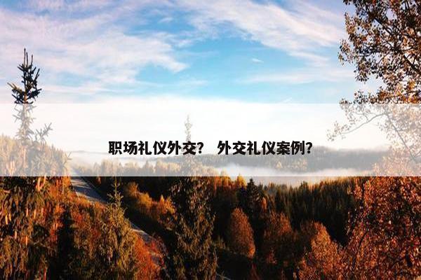 职场礼仪外交？ 外交礼仪案例？