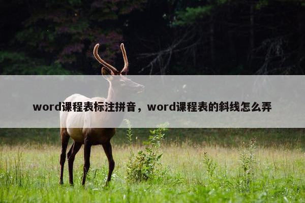 word课程表标注拼音，word课程表的斜线怎么弄