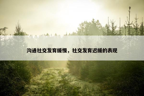 沟通社交发育缓慢，社交发育迟缓的表现