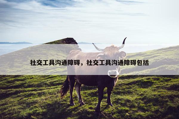 社交工具沟通障碍，社交工具沟通障碍包括