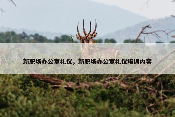 新职场办公室礼仪，新职场办公室礼仪培训内容