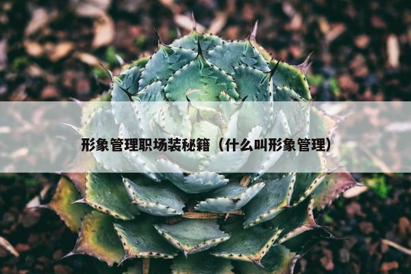 形象管理职场装秘籍（什么叫形象管理）