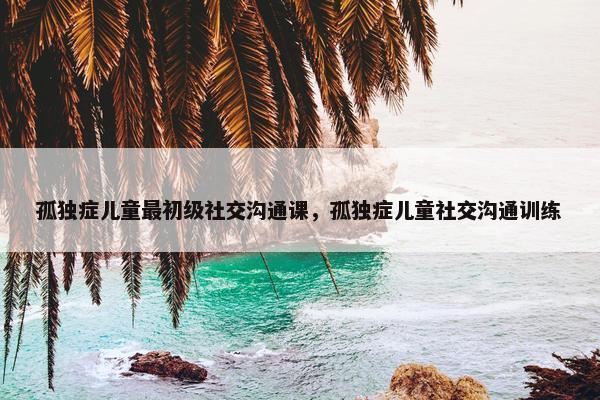 孤独症儿童最初级社交沟通课，孤独症儿童社交沟通训练