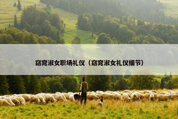 窈窕淑女职场礼仪（窈窕淑女礼仪细节）