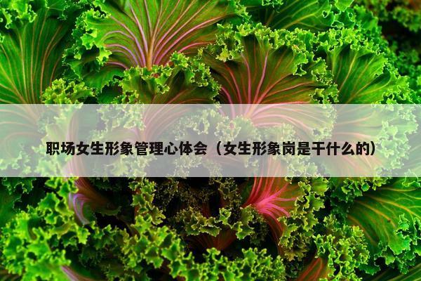 职场女生形象管理心体会（女生形象岗是干什么的）