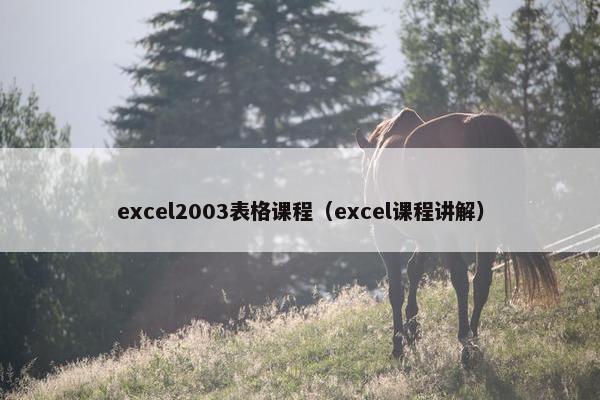 excel2003表格课程（excel课程讲解）