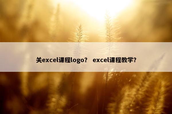 关excel课程logo？ excel课程教学？