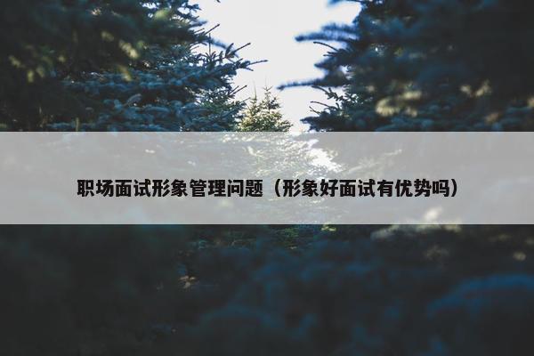 职场面试形象管理问题（形象好面试有优势吗）