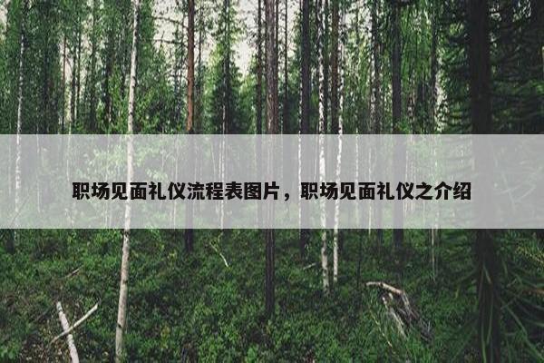职场见面礼仪流程表图片，职场见面礼仪之介绍