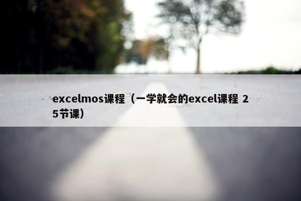 excelmos课程（一学就会的excel课程 25节课）